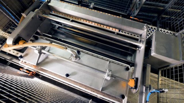 Automated egg sorting machine at factory. Agricultural industry concept.