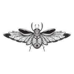 Beetle bug tattoo drawing. Scarab bug illustration