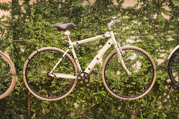 Fototapeta premium Bicycle with green leaves vintage style