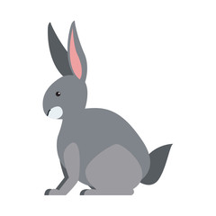 Rabbit animal cartoon icon vector illustration graphic design