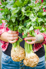 Tattooed millennials woman holding celery in garden