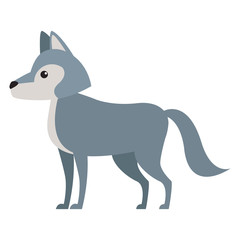 Wolf cartoon animal icon vector illustration graphic design