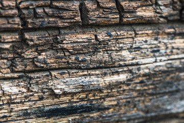 Fototapeta premium Textured rough wood