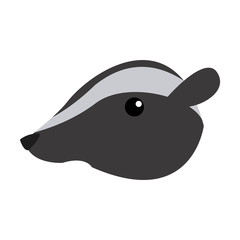 Skunk animal cartoon icon vector illustration graphic design