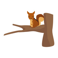 Squirrel animal cartoon icon vector illustration graphic design