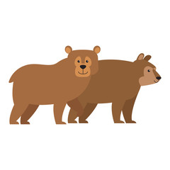 Fototapeta na wymiar bears cartoon animal icon vector illustration graphic design
