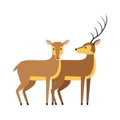 Deers animal cartoon icon vector illustration graphic design