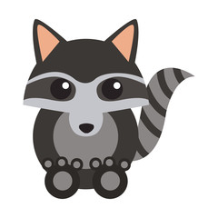 Racoon animal cartoon icon vector illustration graphic design