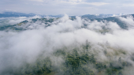 aerial view of misty mountains covered beautiful forest