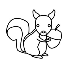Squirrel animal cartoon icon vector illustration graphic design