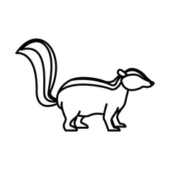 Skunk animal cartoon icon vector illustration graphic design