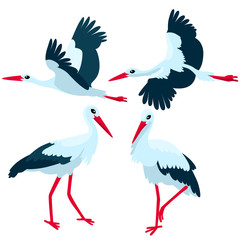 Stork standing and flying on white background / There are some storks in cartoon style
