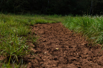 Soil Path