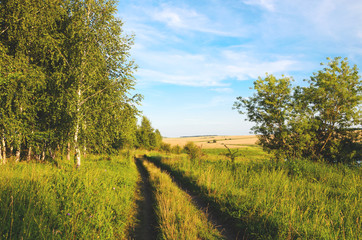 Fototapeta na wymiar Sunny summer landscape with ground countryside road at sunset.Nature of Tula region,Russia.