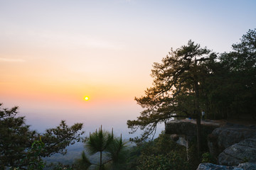 Fototapeta na wymiar The silhouette of pine tree with sunset scene in Phu Kradung National park, Thailand.