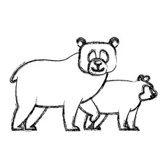 bears cartoon animal icon vector illustration graphic design