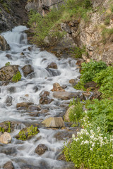Mountain Stream in Summer