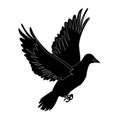 Obraz premium flying dove on white background as symbol of peace vector illustration