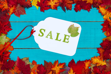Fall Sale sign with colorful leaves border