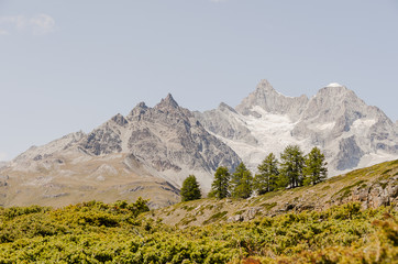 Zermatt, Alpen, Walliser Berge, Zinalrothorn, Ober Gabelhorn, Dent Blanche, Wellenkuppe, Wanderweg, Sunnegga, Findeln, Wallis, Sommer, Schweiz