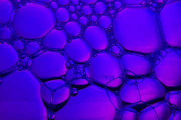 The surface of the bubble.