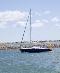 Naklejka premium Voilier bleu et blanc