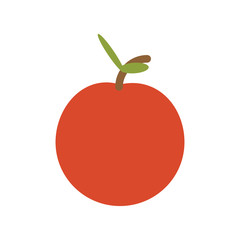 colorful apple  over white  background  vector illustration