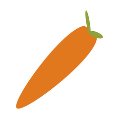 colorful carrot over white background vector illsutration