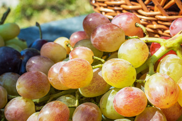 grapes and plums in the basket