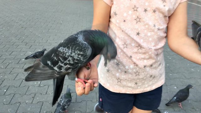 Young girl feeding pigeons sunflower seeds with hands on the street in the city