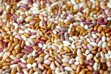 Pinto beans background. Different colors of dried pinto beans.