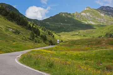 Fototapeta na wymiar Picturesque road through the Dolomites Alps in the summer in northern Italy, Lombardy