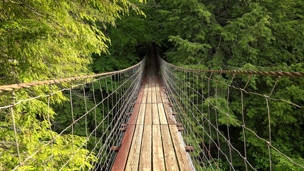 Fototapety  Walking Across Suspension Bridge POV at Fall Creek Falls, Tennessee