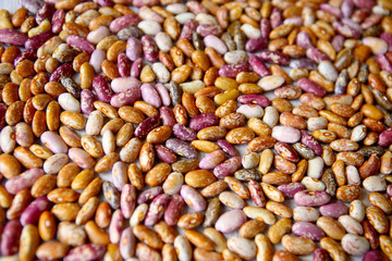 Pinto beans background. Different colors of dried pinto beans.