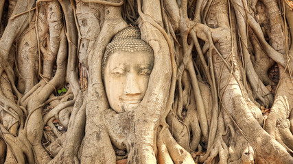 Head of Buddha in Tree Roots at Wat Mahathat, Ayutthaya, Thailand