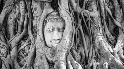 Head of Buddha in Tree Roots at Wat Mahathat, Ayutthaya, Thailand, Black & White