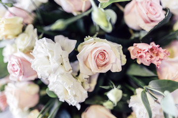 Beautiful roses
