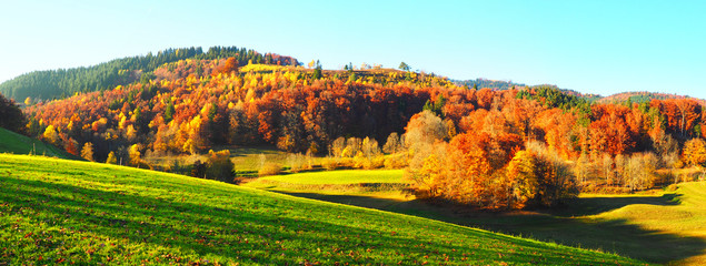 Schwarzwald Landschaft im Herbst mit Blätter und buntem Laub - Abendsonne