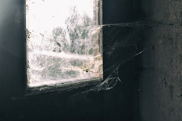 Old window with a lot of spider web