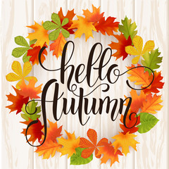 Obraz premium Autumn hand drawn lettering. Autumn leaves background. Vector illustration EPS10