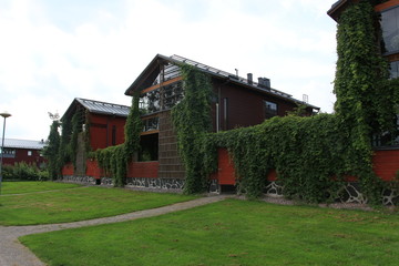 Fototapeta na wymiar houses with hedgerows
