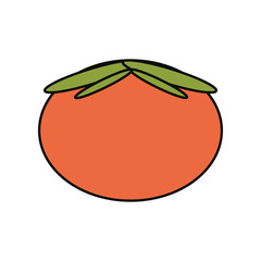 tomato vegetable icon over white background colorful design  vector illustration