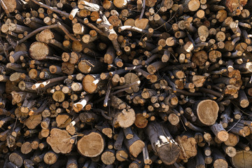 photo of a pile of natural wooden logs background.