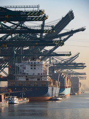 Des grues portuaires déchargent des conteneurs de navires par une matinée ensoleillée dans le port d& 39 Anvers.