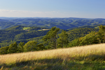 View of the Allegheny Plateau near Thomas, West Virginia
