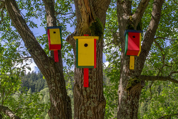 Colorful birdhouse