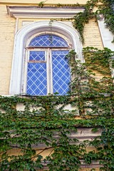 Fototapeta na wymiar Старое окно с решёткой на стене заросшей зелёными растениями