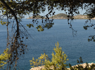 Fototapety na wymiar - Fototapeta24.pl