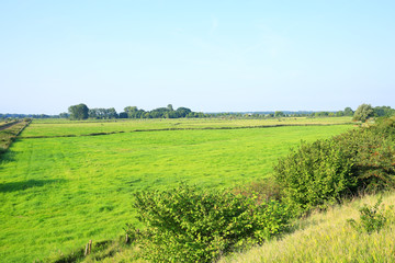 Fototapeta na wymiar Scenic landscape in Frisia, Lower Saxony, Germany