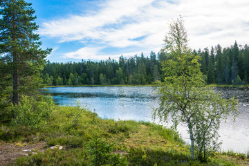 Fototapeta premium Beautiful landscape with a small lake.
